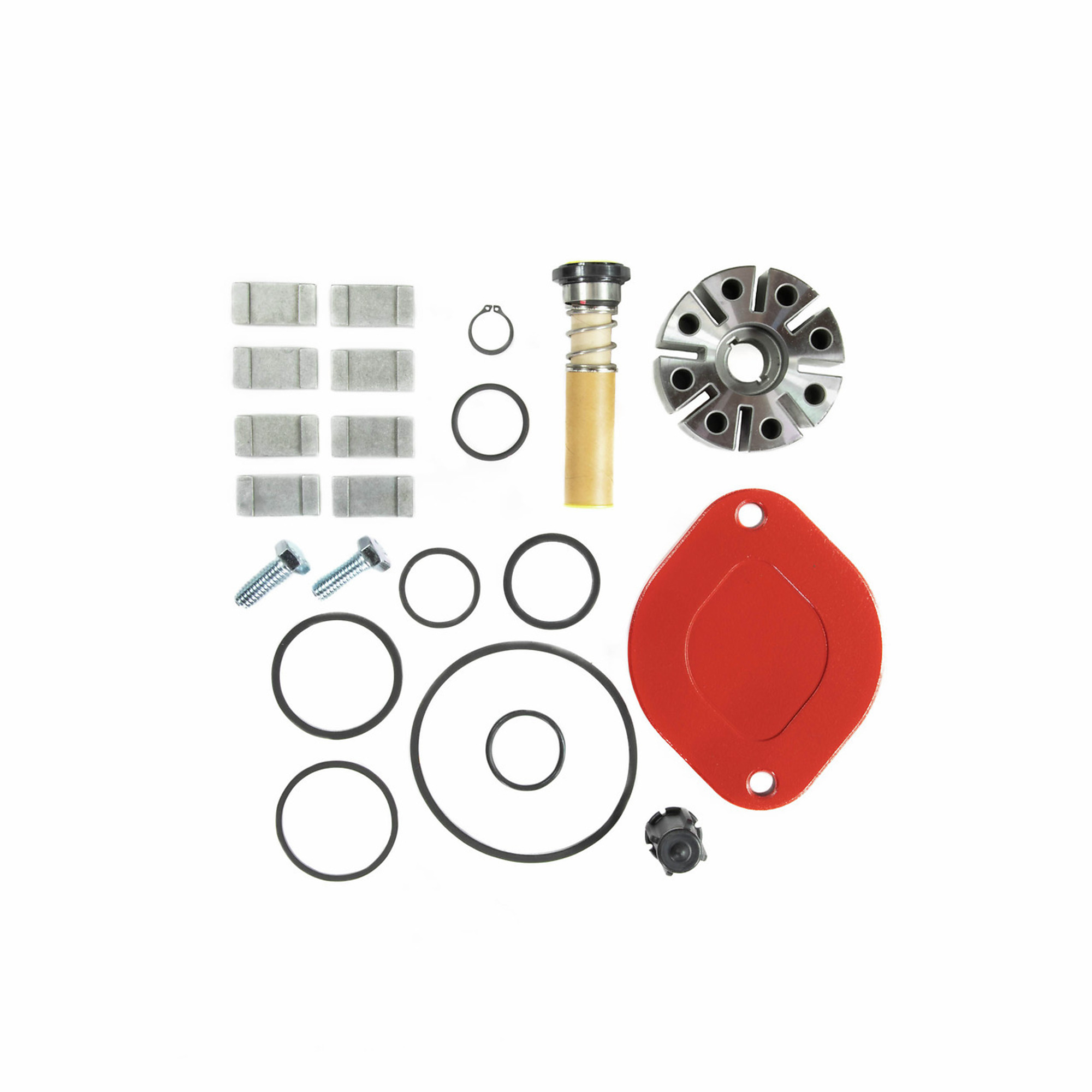 Fill-Rite Primary Overhaul Kit for 700 Series Pumps - Includes Seals, Gaskets, Rotor Cover, Carbon Vanes, Model# 700KTF2659